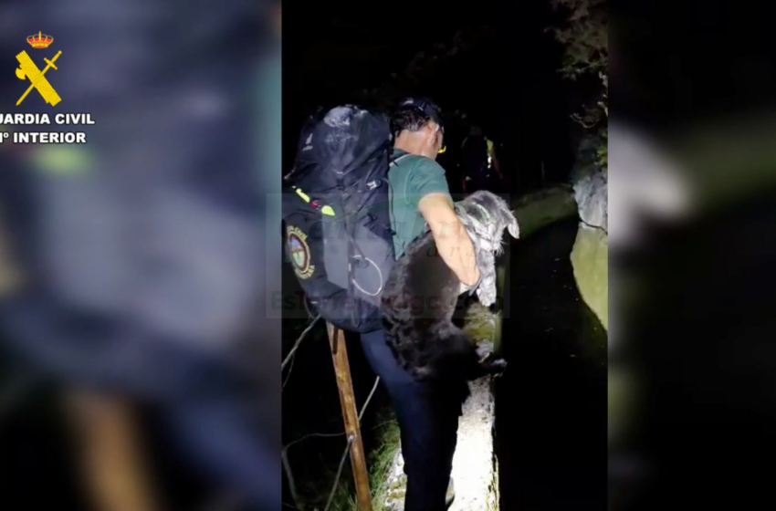  Rescatados dos senderistas y su perro extraviados mientras realizaban una ruta en los Picos de Europa