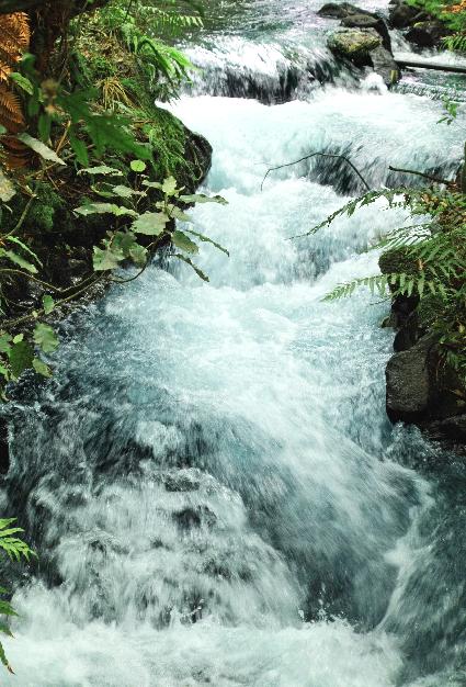  El Foro del Agua de la cuenca media del Nansa traslada a Medio Ambiente las propuestas de mejora