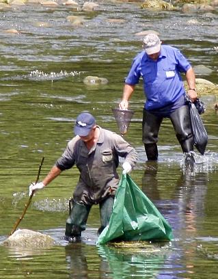  «Las muestras de peces recogidas como prueba se han podrido por mala conservación»