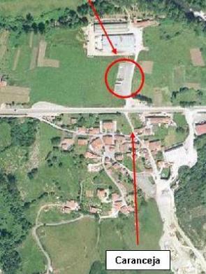 Comienza la lucha contra la planta invasora Reynoutria Japónica en la ribera del Saja