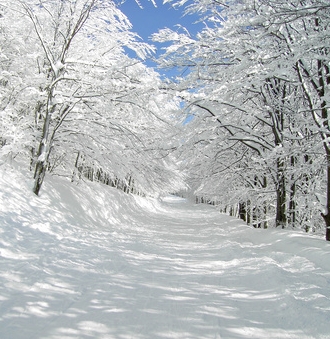 Cantabria estará hoy en alerta por nieve, excepto en la zona litoral