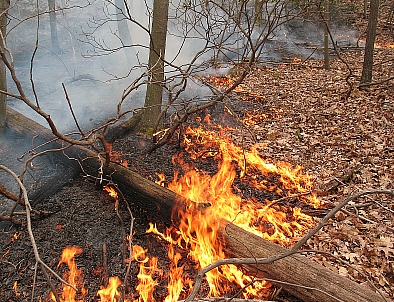 Cantabria en riesgo de incendios forestales