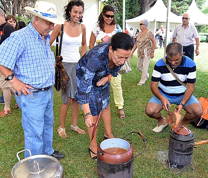 Santander celebró la tradicional Romería del Faro