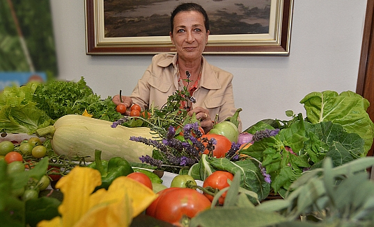 Los hortelanos de la Finca Altamira celebrarán el próximo 4 de septiembre la III Fiesta de la Cosecha