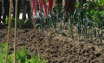 Más de 3.600 escolares participaron en las actividades organizadas por el centro de educación ambiental “Los Viveros”