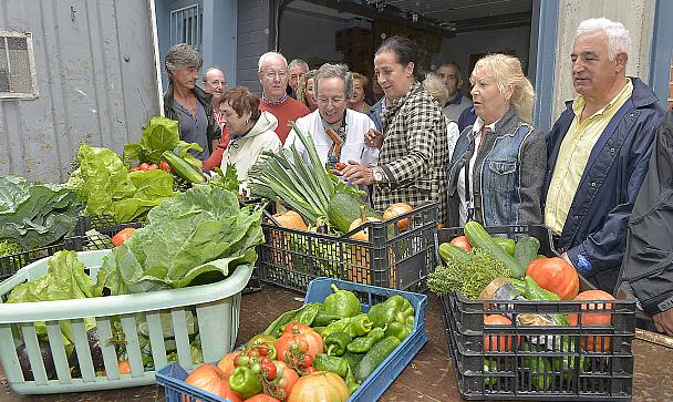 Hortelanos santanderinos donan a la cocina económica verduras y hortalizas cultivadas en las parcelas municipales