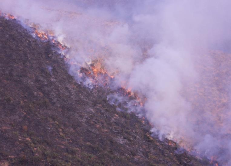  Denuncian incendios provocados en la Montaña Pasiega y Oriental