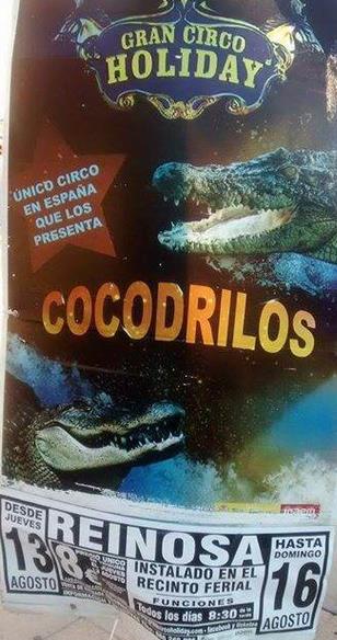  Tigres y cocodrilos en Reinosa, municipio declarado libre de circos con animales