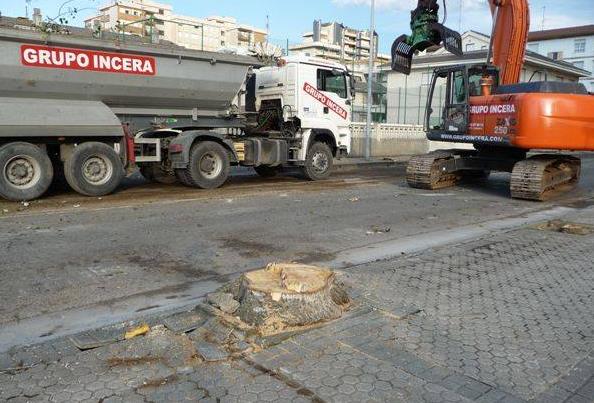  Denuncian la tala de más de cien árboles en las aceras del ensanche de Laredo