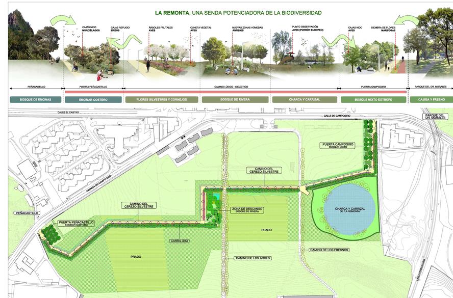  Las obras del parque de La Remonta se licitarán en 650.000 euros