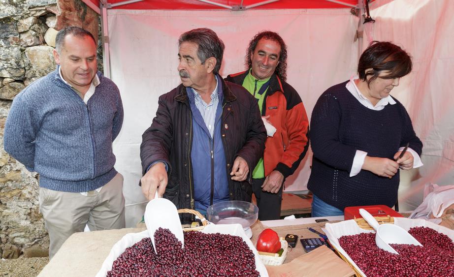 Revilla y Díaz Tezanos visitan la Feria de la Alubia en Casar de Periedo / Foto: Raúl Lucio, Gobierno de Cantabria