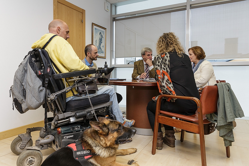 Una ley regulará el acceso a lugares públicos de los perros de asistencia de personas con discapacidad