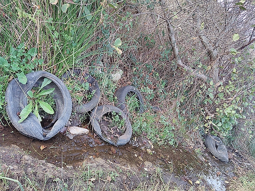 La Asociación Centinelas denuncia vertederos incontrolados en la costa de Santander