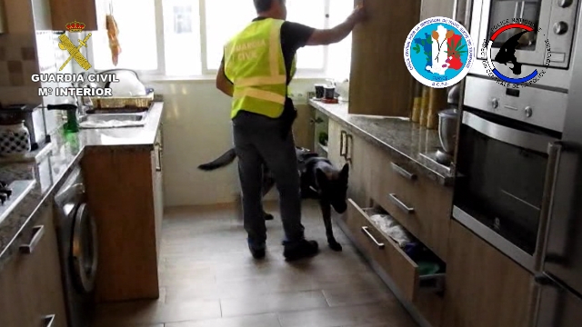 La Guardia Civil y la policía francesa desarticulan una organización criminal que vendía grandes cantidades de droga / Fotos: Guardia Civil