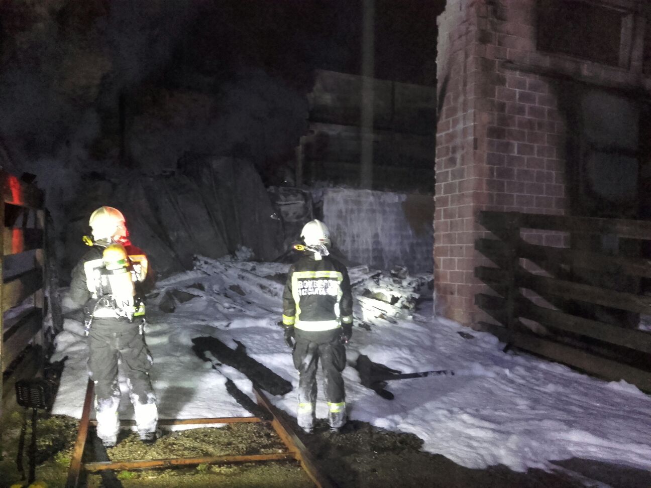 Fallecen tres jirafas de Cabárceno al incendiarse la cabaña de su recinto