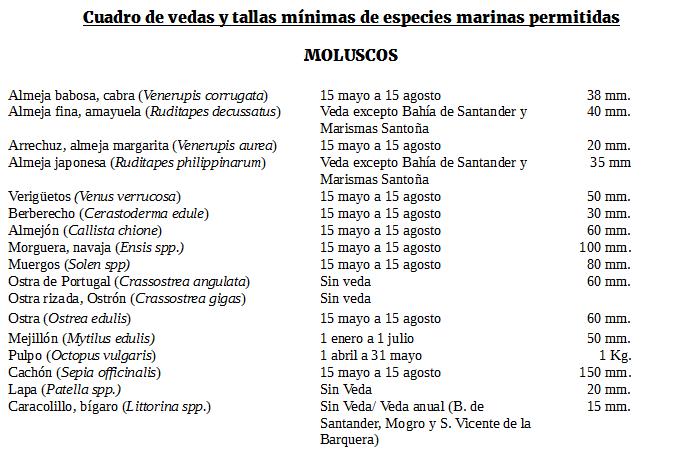 El Gobierno regula las vedas y tallas mínimas del marisco para la temporada 2019-2020