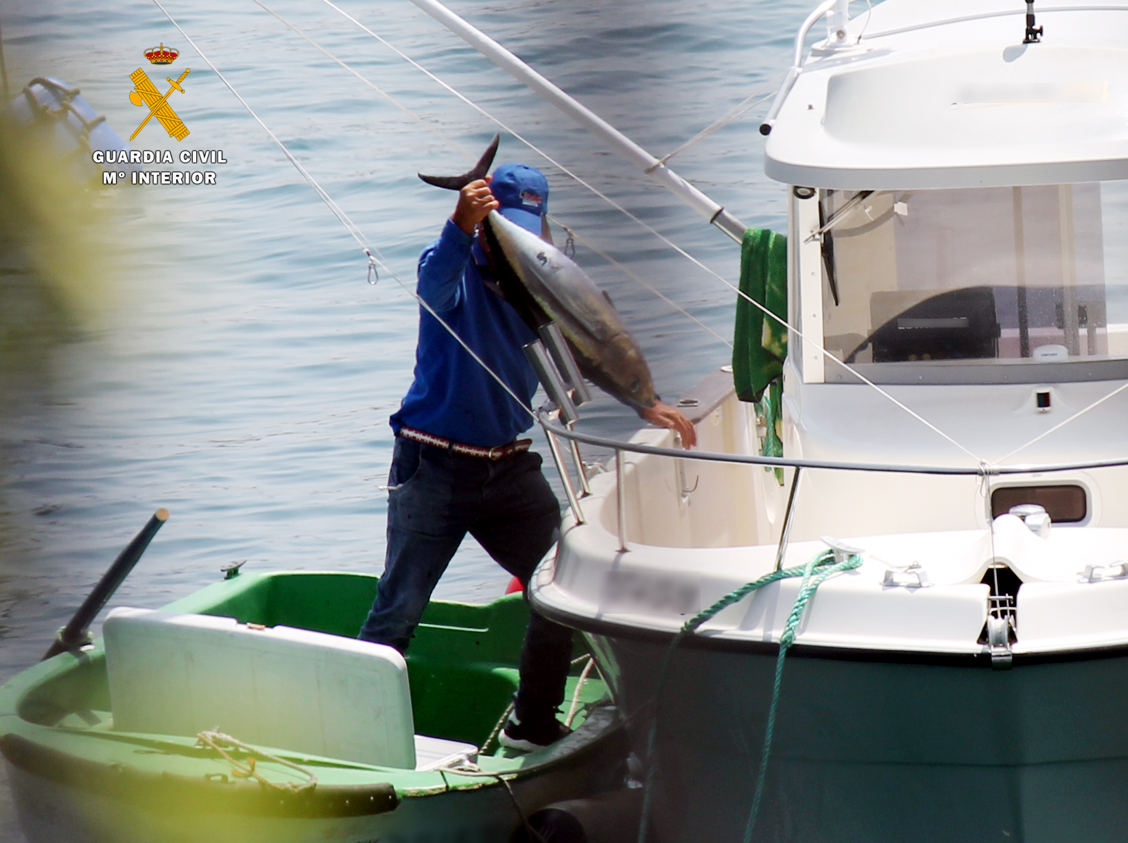 La Guardia Civil denuncia a dos hombres por pesca furtiva de bonitos en Castro Urdiales