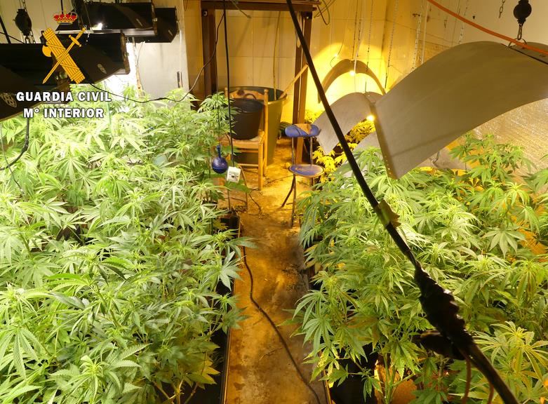 La Guardia Civil detiene a dos hombres e investiga a otros dos por sendas plantaciones de marihuana
