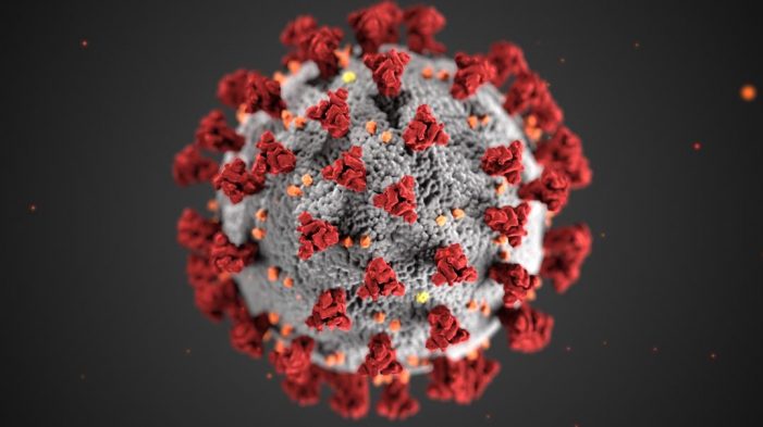 Foto de coronavirus COVID-19 - CDC/ Alissa Eckert, MSMI; Dan Higgins, MAMS Cantabria acumula en las últimas 36 horas 50 nuevos contagios por COVID-19 y dos nuevos casos en residencias