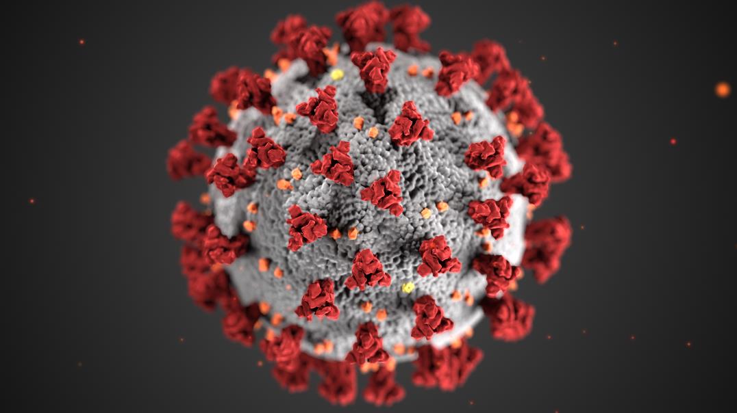 Foto de coronavirus COVID-19 - CDC/ Alissa Eckert, MSMI; Dan Higgins, MAMS