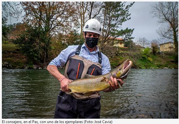  La campaña de control de salmón en el río Pas se salda con 170 ejemplares reproductores