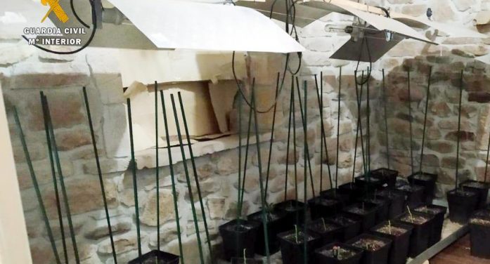 La Guardia Civil interviene casi 180 plantas de marihuana en una casa de Saro La Guardia Civil interviene casi 180 plantas de marihuana en una casa de Saro