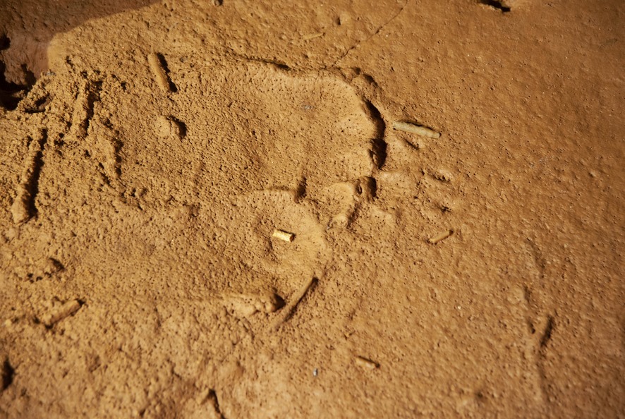  Descubren nuevos hallazgos de arte rupestre y huellas humanas en la cueva de La Garma