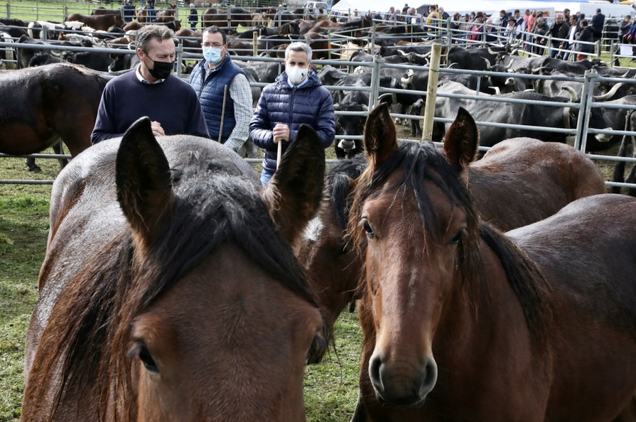 Zuloaga y Blanco reafirman en Valle el compromiso del Ejecutivo autonómico de seguir apoyando y potenciando al sector ganadero de la región - Foto: Nacho Romero, gobierno de Cantabria