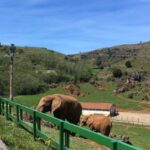En la imagen el recinto de los elefantes en Cabárceno
