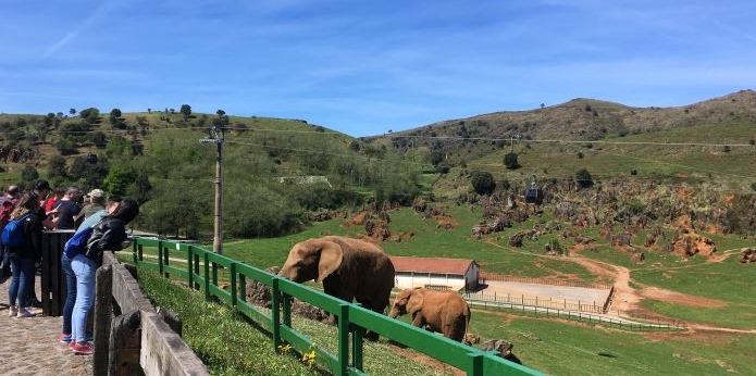En la imagen el recinto de los elefantes en Cabárceno