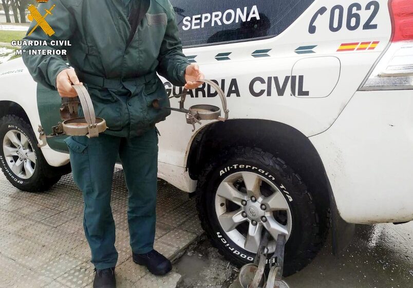 La Guardia Civil interviene cuatro cepos prohibidos para la caza que se encontraban a la venta en Campoo
