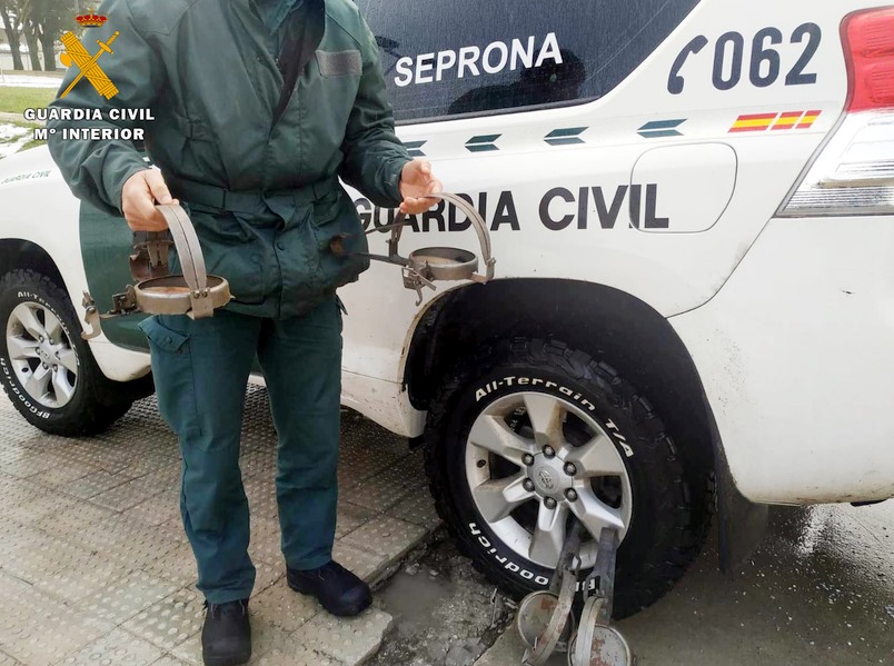 La Guardia Civil interviene cuatro cepos prohibidos para la caza que se encontraban a la venta en Campoo