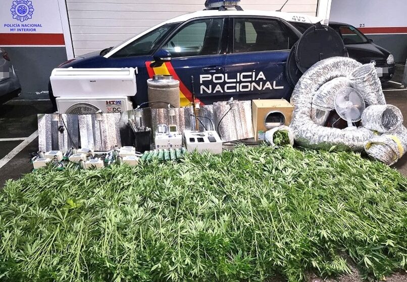 La Policía Nacional desmantela una plantación interior de marihuana en Polanco