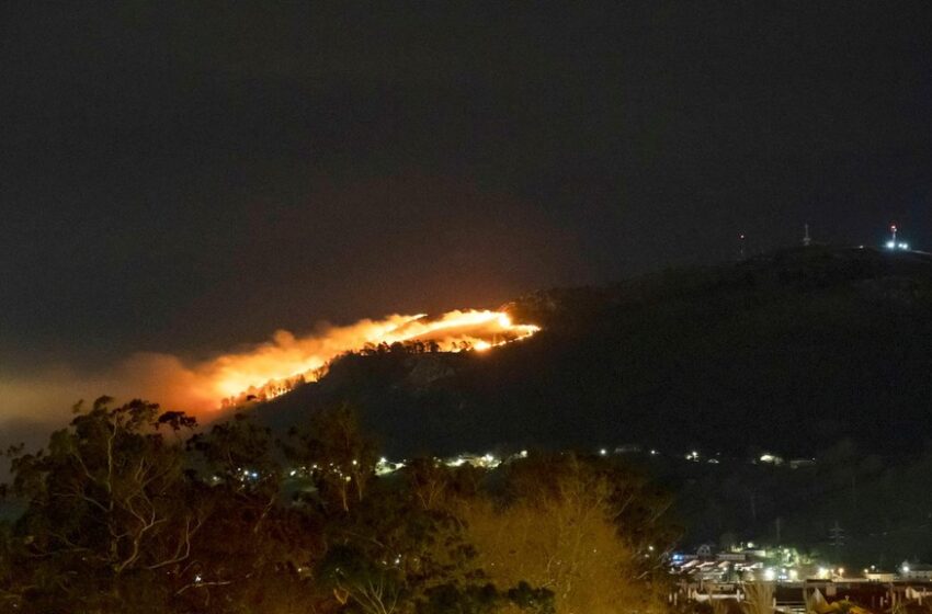 Cerca de una treintena de incendios forestales provocados en Cantabria en las últimas horas