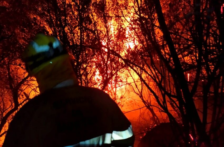  El Gobierno pide colaboración ciudadana para identificar a los autores de los incendios provocados en las últimas horas