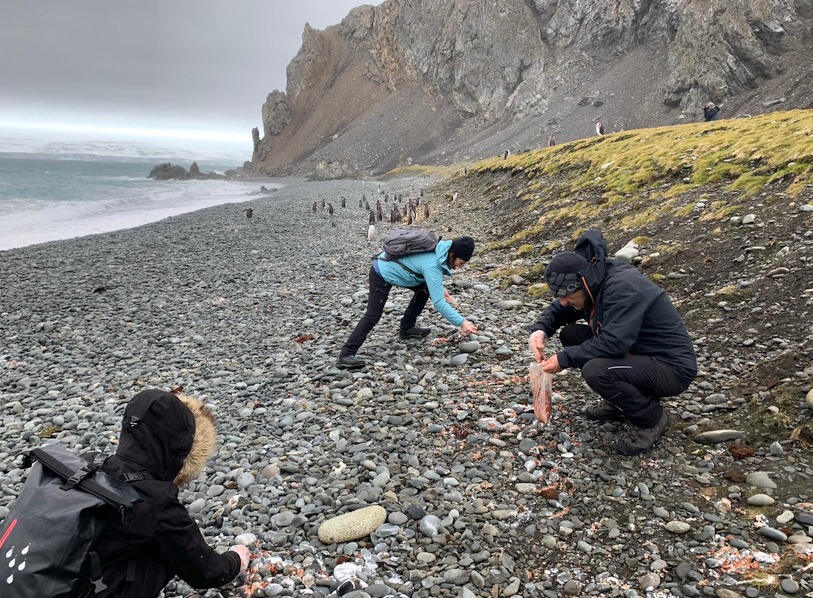 Gema Ruiz y Javier Viguri realizan trabajo de campo en la Base Antártica Juan Carlos I