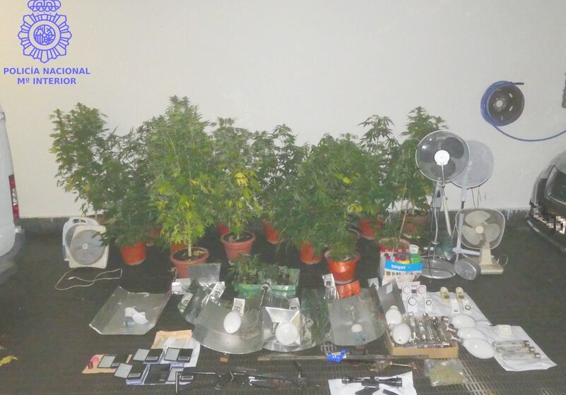  La Policía Nacional desmantela una sofisticada plantación de marihuana en San Felices de Buelna