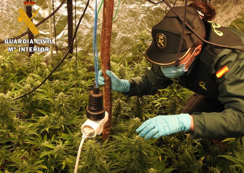  La Guardia Civil desmantela dos plantaciones interiores de marihuana en Soba y Alceda