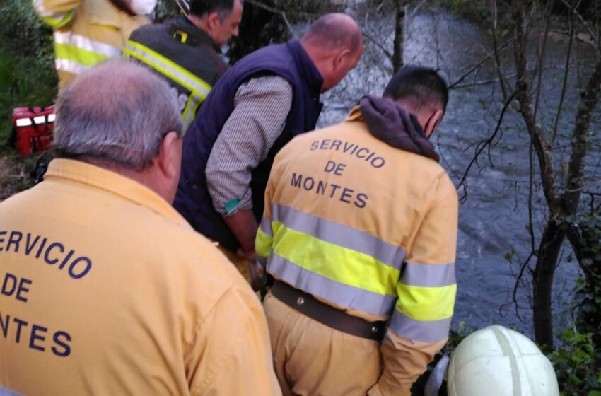 Herida una menor tras caer al cauce del Saja en Casar de Periedo