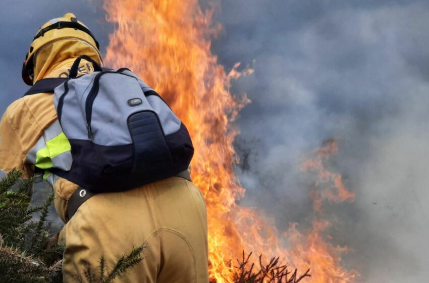 En las imágenes el incendio en Cabuérniga, 11 de abril de 2022, foto Gobierno de Cantabria
