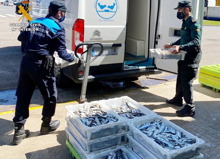  La Guardia Civil interviene más de ciento sesenta kilos de pescado sin etiquetado en Santander