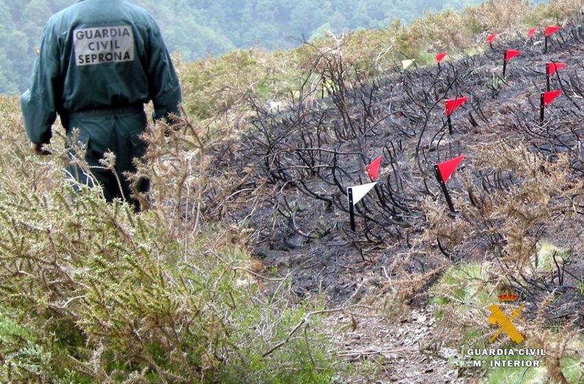  La Guardia Civil localiza al presunto autor de un incendio forestal con 117 focos de inicio en Alisas