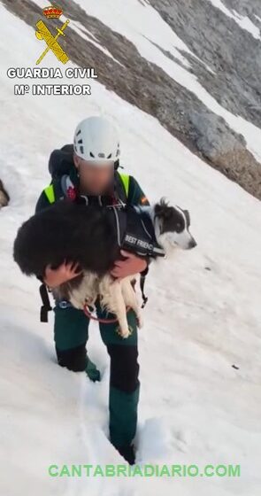 La Guardia Civil rescata a un perro atrapado en Picos de Europa