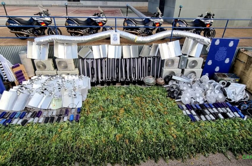 Desmanteladas en Santander dos sofisticadas plantaciones de marihuana