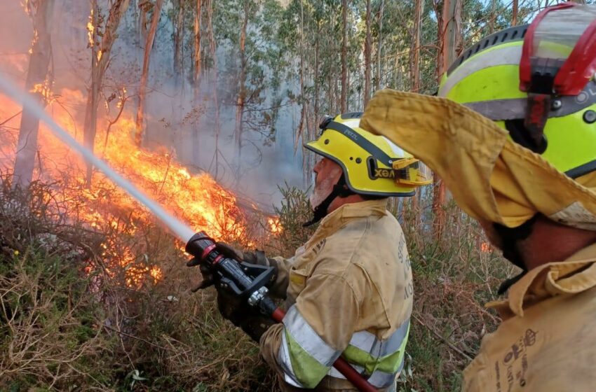  Cantabria registra 27 incendios forestales provocados en las últimas 24 horas y 17 se mantienen activos