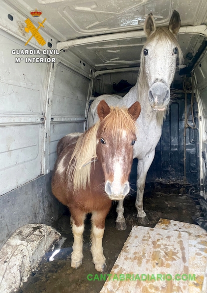 La Guardia Civil detiene a dos hombres por el robo de caballos