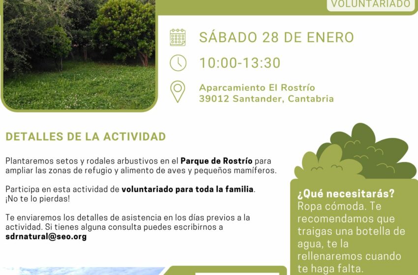 'Santander Capital Natural' da inicio a sus actividades de voluntariado ciudadano con una plantación en el Parque de Rostrío