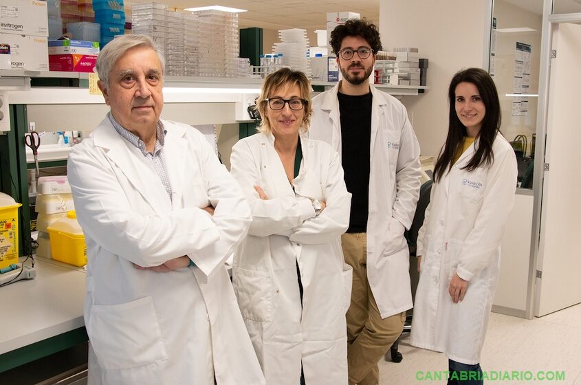  Investigadores de la Universidad de Cantabria desarrollan una partícula que incrementa la formación controlada de hueso
