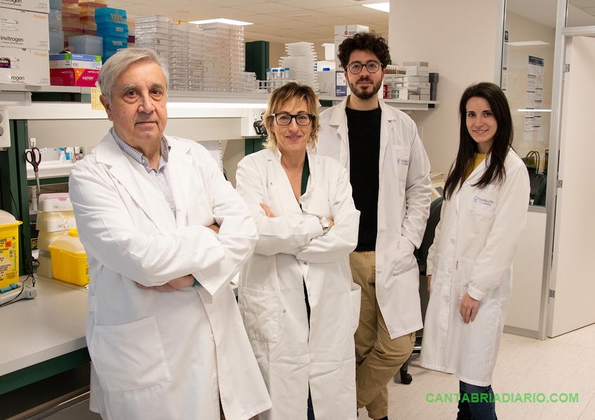 Investigadores de la Universidad de Cantabria desarrollan una partícula que incrementa la formación controlada de hueso
De izquierda a derecha, José Carlos Rodríguez Rey, Flor Pérez Campo, Alberto González González y Mónica del Dujo Gutiérrez.