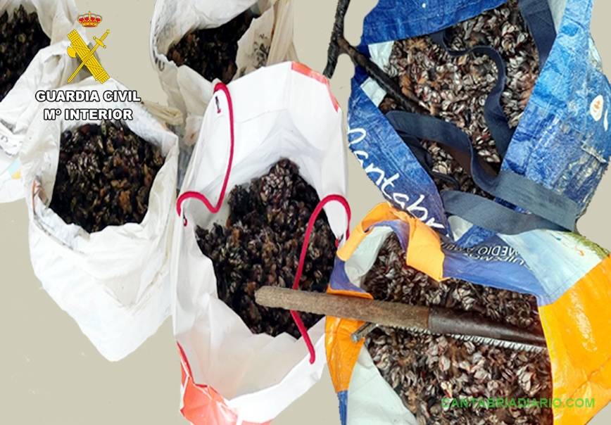 La Guardia Civil intercepta a seis furtivos con más de cuarenta kilos de percebes